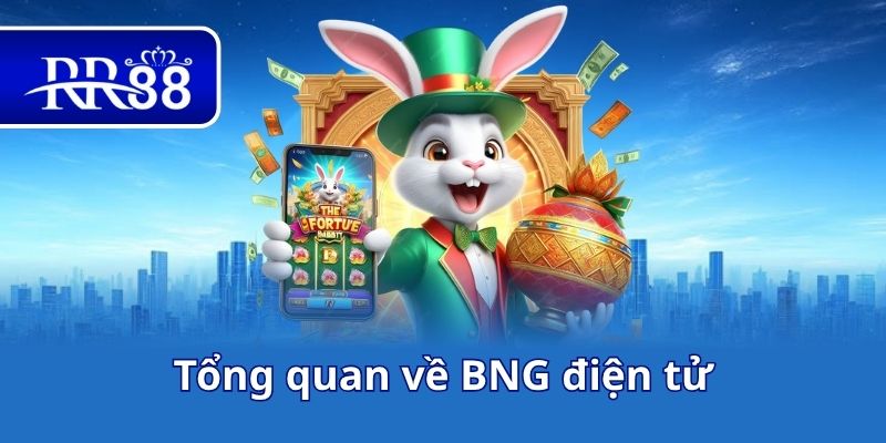 Tổng quan về BNG điện tử