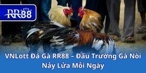 VNLott Đá Gà RR88 – Đấu Trường Gà Nòi Nảy Lửa Mỗi Ngày