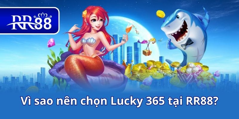 Vì sao nên chọn Lucky 365 tại RR88?
