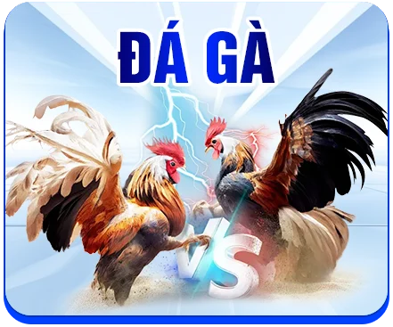 icon-da-ga-rr88